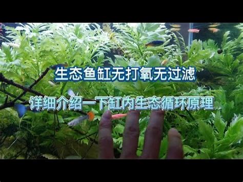 魚缸理論|客戶管理——魚缸理論